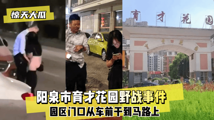 [惊天大瓜]阳泉市育才花园野战事件~园区门口从车前干到马路上~!海报剧照